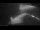 Webcam on the Sarfaq Ittuk, 56.5 mi away