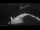 Webcam on the Sarfaq Ittuk, 183.6 mi away