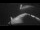 Webcam en el Sarfaq Ittuk, 520.5 km