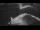 Webcam sur la Sarfaq Ittuk, 126 km