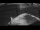 Webcam on the Sarfaq Ittuk, 56.5 mi away