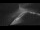 Webcam on the Sarfaq Ittuk, 50.5 mi away