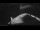 Webcam on the Sarfaq Ittuk, 51.4 mi away