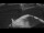 Webcam auf der Sarfaq Ittuk, 559.7 km entfernt