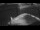 Webcam auf der Sarfaq Ittuk, 21.8 km entfernt