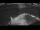 Webcam on the Sarfaq Ittuk, 283.6 mi away