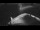 Webcam on the Sarfaq Ittuk, 226.7 mi away