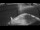 Webcam on the Sarfaq Ittuk, 206.8 mi away
