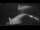 Webcam auf der Sarfaq Ittuk, 140.2 km entfernt