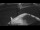 Webcam on the Sarfaq Ittuk, 50.8 mi away