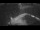 Webcam auf der Sarfaq Ittuk, 313.2 km entfernt
