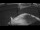 Webcam on the Sarfaq Ittuk, 50.3 mi away