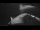Webcam sur la Sarfaq Ittuk, 276.1 km