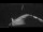 Webcam on the Sarfaq Ittuk, 218 mi away