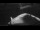 Webcam on the Sarfaq Ittuk, 119.5 mi away