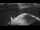 Webcam on the Sarfaq Ittuk, 91 mi away