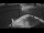 Webcam on the Sarfaq Ittuk, 118.9 mi away