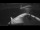 Webcam on the Sarfaq Ittuk, 35.9 mi away