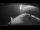 Webcam auf der Sarfaq Ittuk, 103.7 km entfernt
