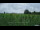 Webcam in 't Zandt, 19.8 km
