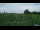 Webcam in 't Zandt, 11 km