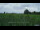 Webcam in 't Zandt, 30.4 km entfernt