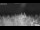 Webcam in 't Zandt, 43.8 km