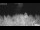 Webcam in 't Zandt, 37.6 km