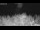 Webcam in 't Zandt, 16.6 km entfernt