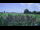 Webcam in 't Zandt, 22.7 km