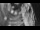 Webcam in 't Zandt, 8.8 mi away