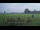 Webcam in 't Zandt, 25.4 mi away