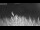 Webcam in 't Zandt, 8.3 mi away