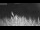Webcam in 't Zandt, 22.7 km