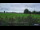 Webcam in 't Zandt, 4.3 mi away