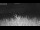 Webcam in 't Zandt, 8.8 mi away
