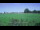 Webcam in 't Zandt, 8.8 mi away