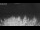Webcam in 't Zandt, 4.2 mi away