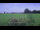 Webcam in 't Zandt, 25.4 mi away