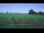 Webcam in 't Zandt, 22.7 km