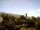 Webcam in El Paso (La Palma), 38.2 mi away
