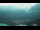 Webcam in Seetal am Goldeck, 0.9 km