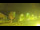Webcam in Torfhaus, 5.6 km entfernt