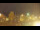 Webcam in Torfhaus, 7.9 km