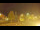 Webcam in Torfhaus, 0.1 km entfernt