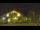 Webcam in Torfhaus, 5.3 mi away