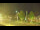 Webcam in Torfhaus, 21.1 km