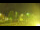 Webcam in Torfhaus, 11.1 km
