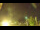 Webcam in Torfhaus, 5.5 km entfernt