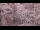 Webcam in Asahikawa, 103 km entfernt